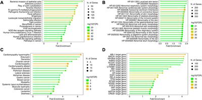 A census of actin-associated proteins in humans